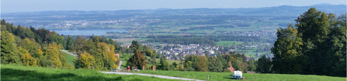 Blick von der Hochwacht Richtung Egg und Greifensee