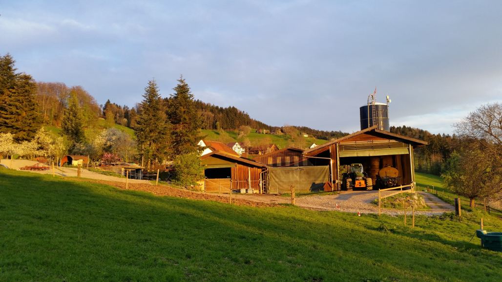 Abendstimmung auf dem Hof