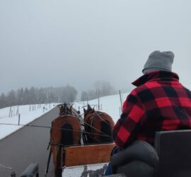 Fahrt durch die weisse Landschaft am Pfannenstiel